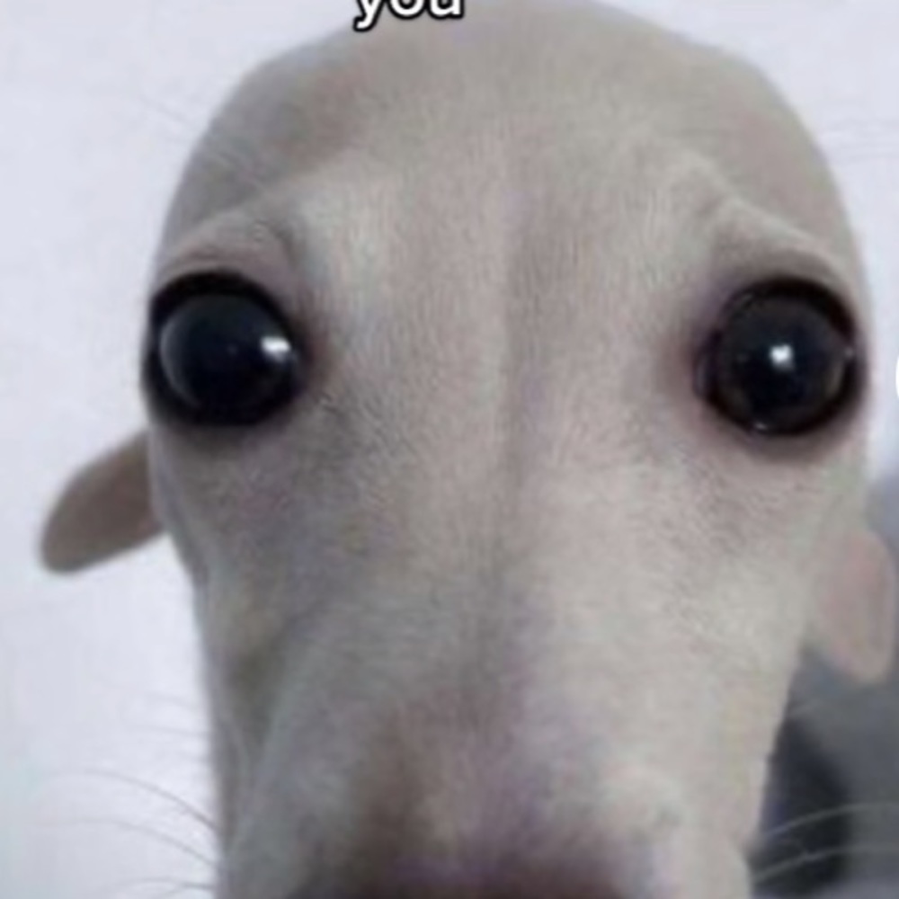 Meet your Posher, Helena